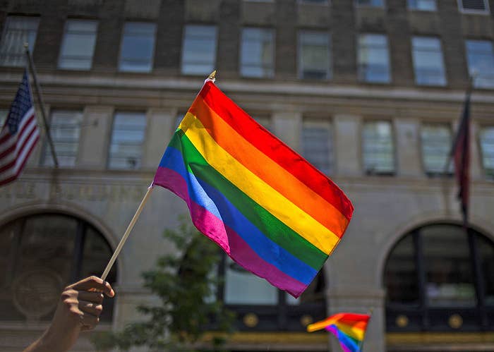 Someone holding up a Pride Flag