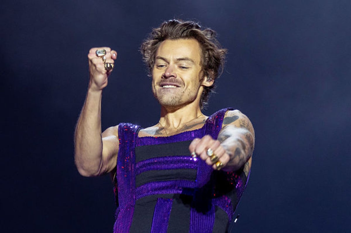 Harry Styles Stops Concert for Pregnant Fan to Use Bathroom