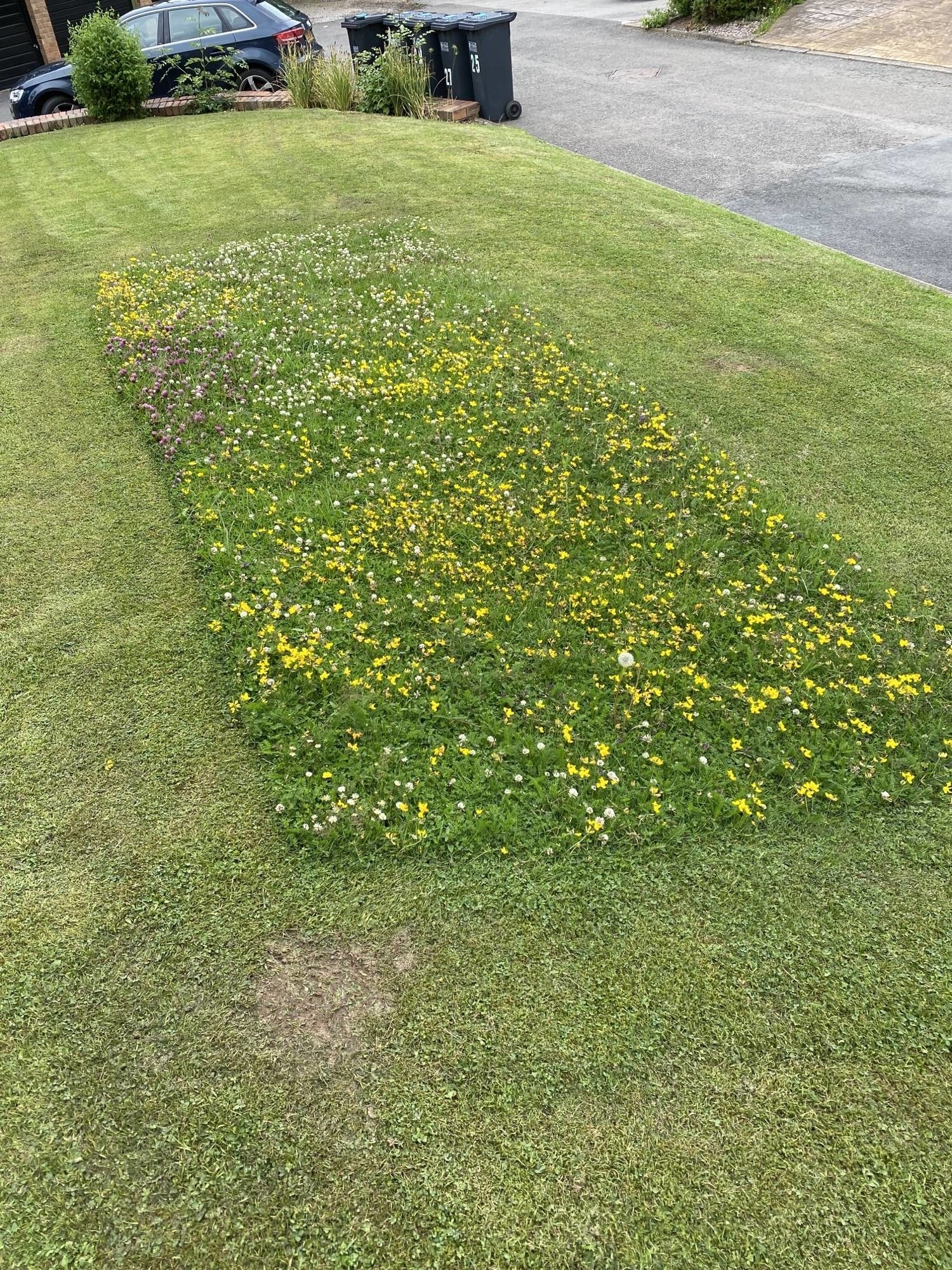 A rectangle of flowers in a patch of grass