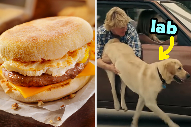 On the left, sausage, egg, and cheese on an English muffin, and on the right, Owen Wilson as John in Marley and Me holding Marley as she walks out of a car with an arrow pointing to her and lab typed next to her
