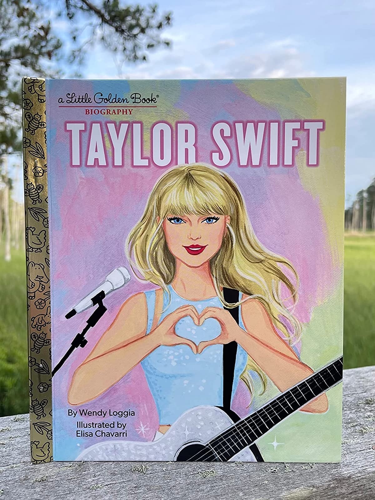 book cover with illustrated photo of Taylor Swift holding a guitar