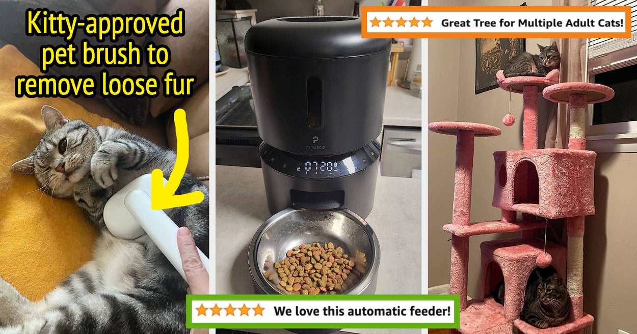 Just 25 Products That’ll Upgrade Your Cat’s Routine