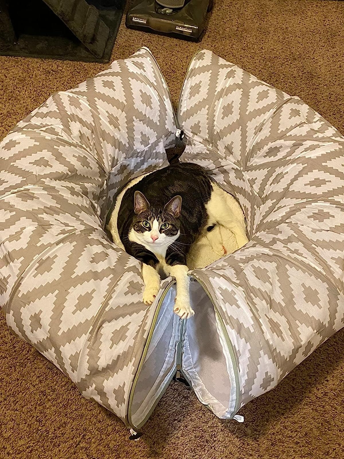 Reviewer&#x27;s photo of cat resting in a cat tunnel.