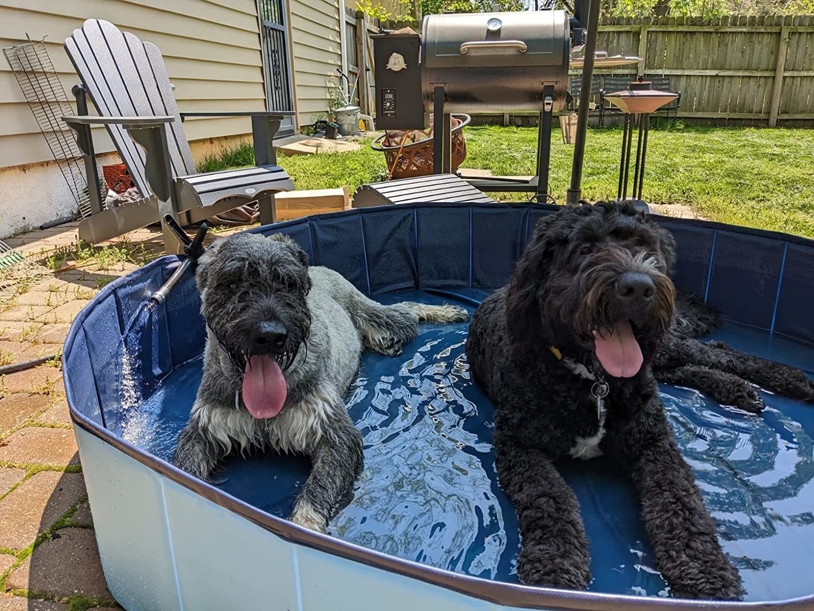 Reviewer&#x27;s photo of two dogs laying in a pool.