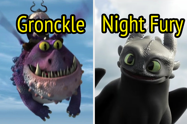 A gronckle and Toothless.