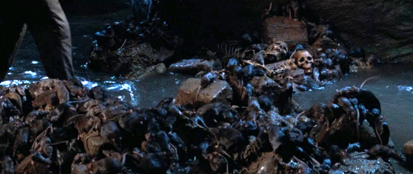 Indy walking through a water filled tunnel covered in rats and skeletons