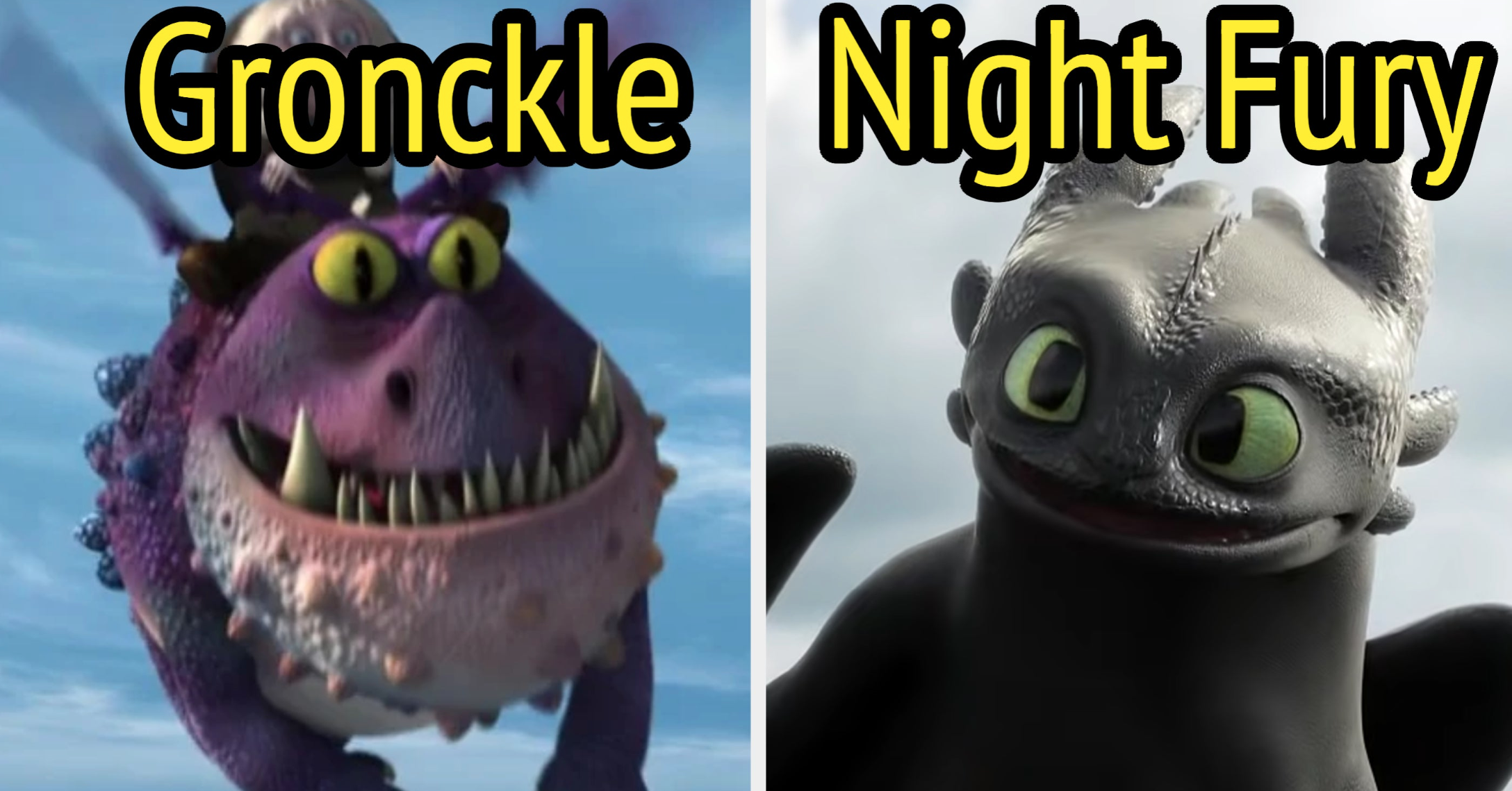 Your "How To Train Your Dragon" Species Quiz