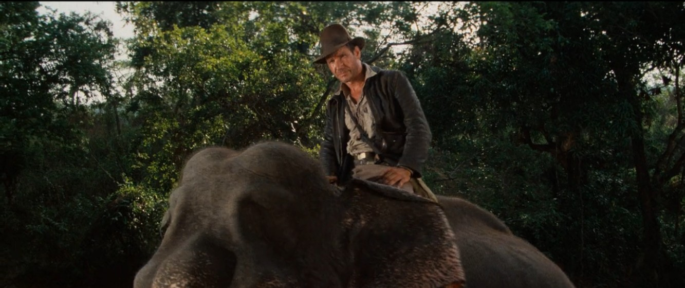 Indy on an elephant