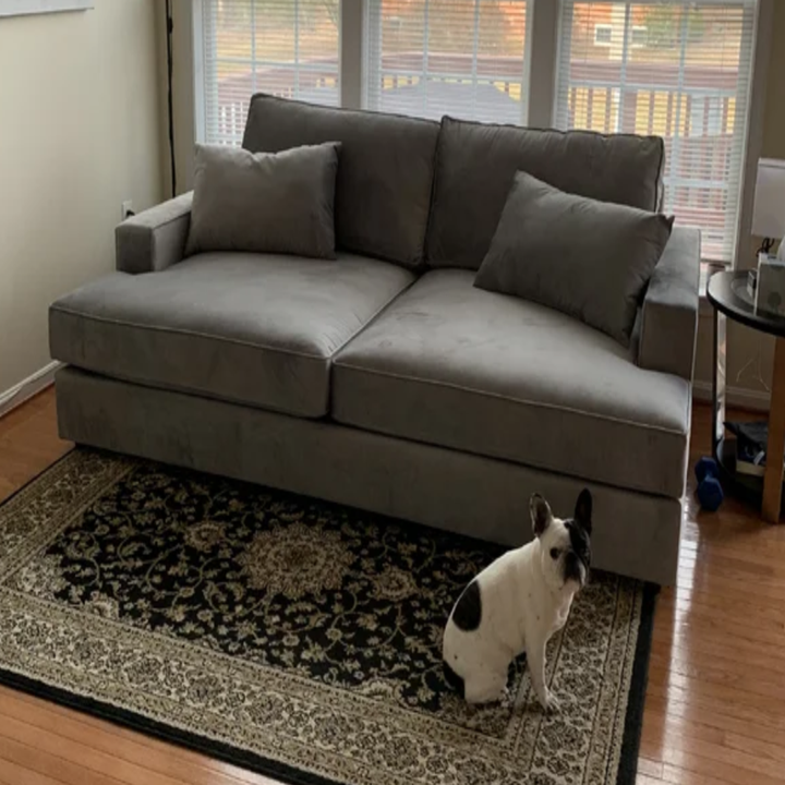 15 PetFriendly Couches For Lounging In 2023