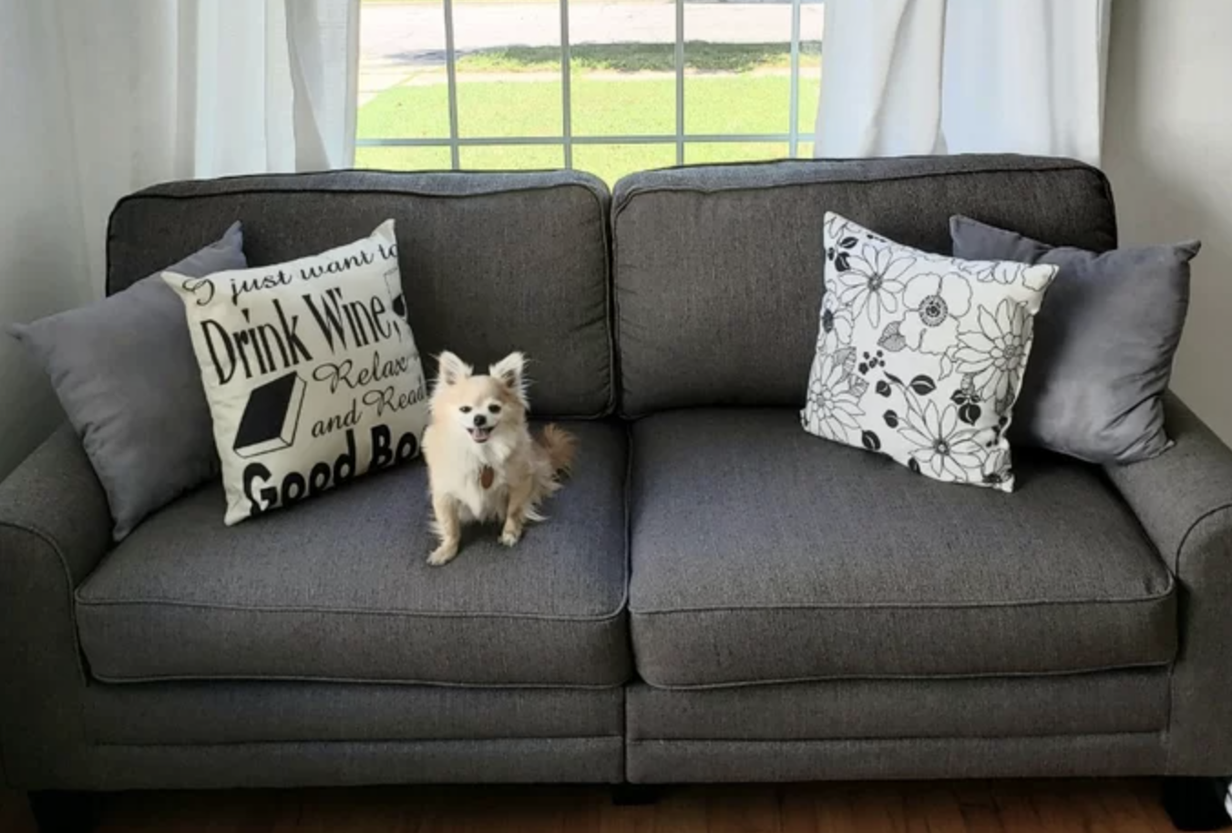 20 Best Pet-Friendly Couches To Buy In 2024