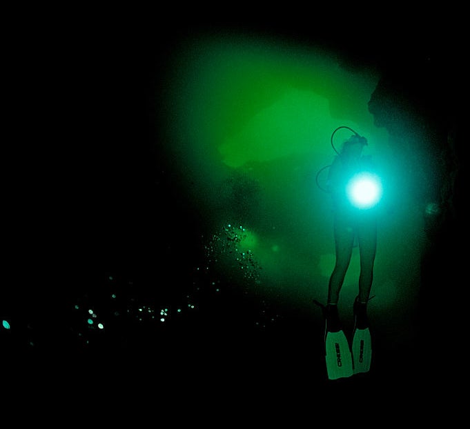 diver in the dark water