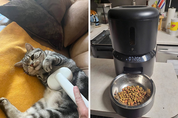 Just 25 Products That'll Upgrade Your Cat's Routine