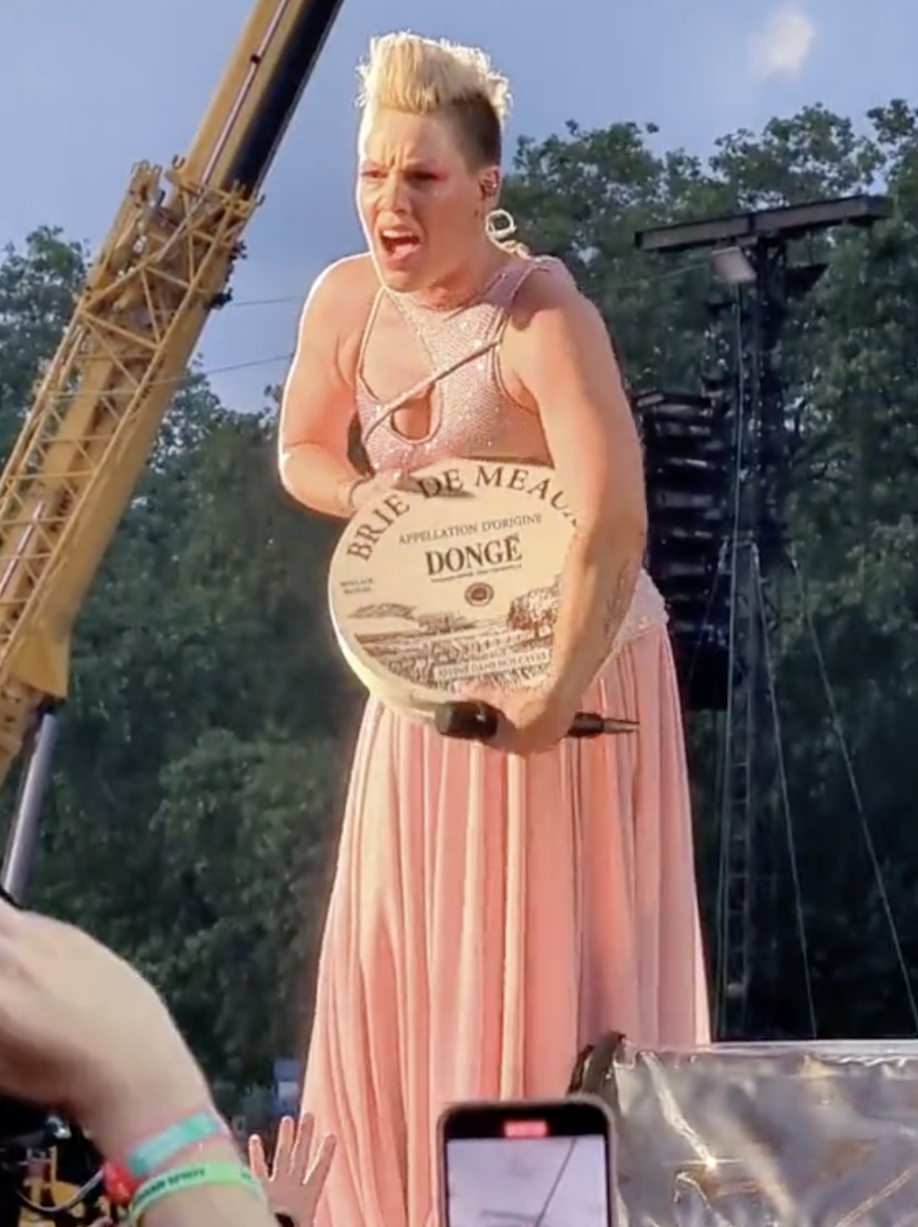 Pink onstage holding the wheel of Brie