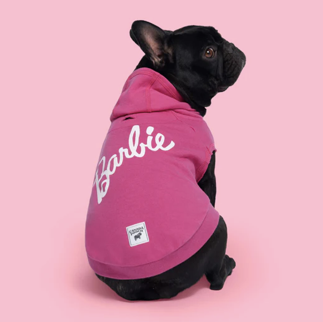 Dog with barbie sweater on