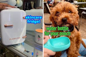 reviewer's white mini skincare fridge and reviewer's dog with blue doggie water bottle