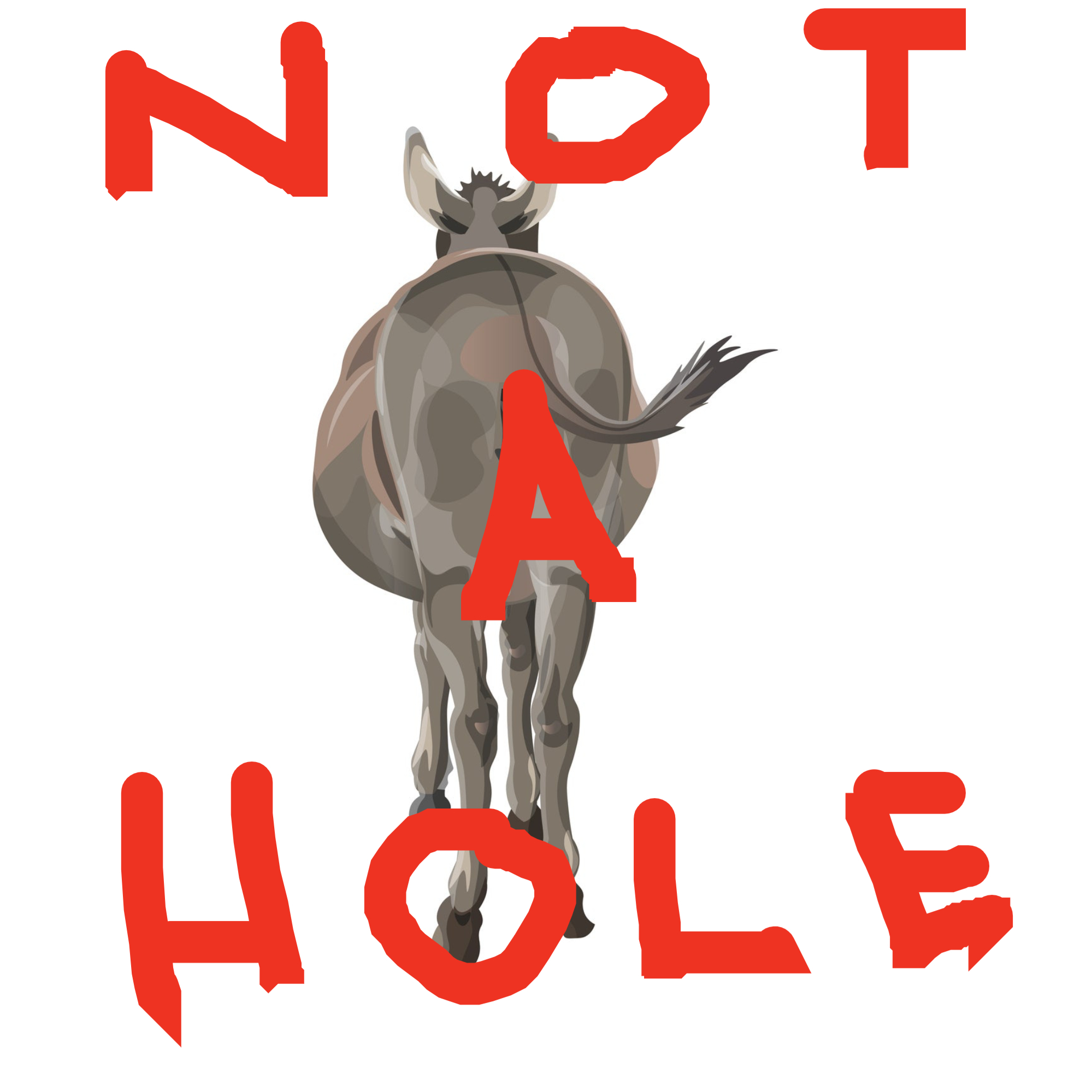 &quot;Not A Hole&quot;