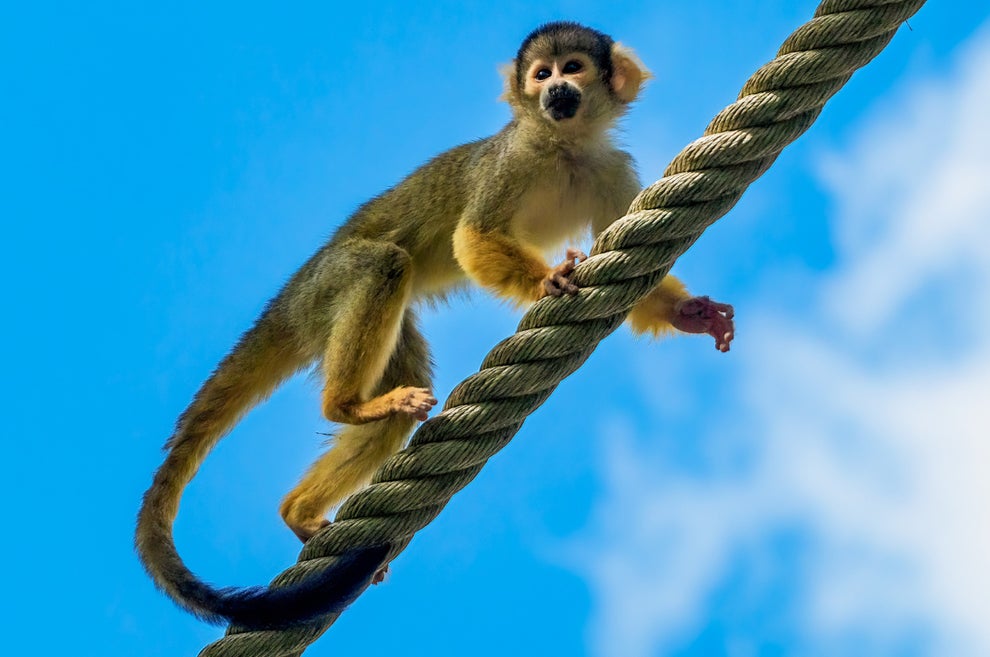 15 Funny Historical Happenings That Made Me Laugh