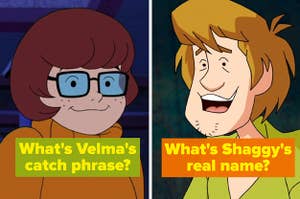 Velma and Shaggy each smiling.