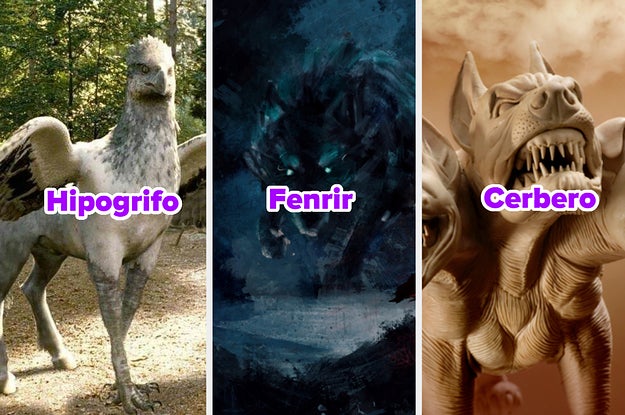 Vive un día como si fueras de la realeza y te diré qué animal es tu