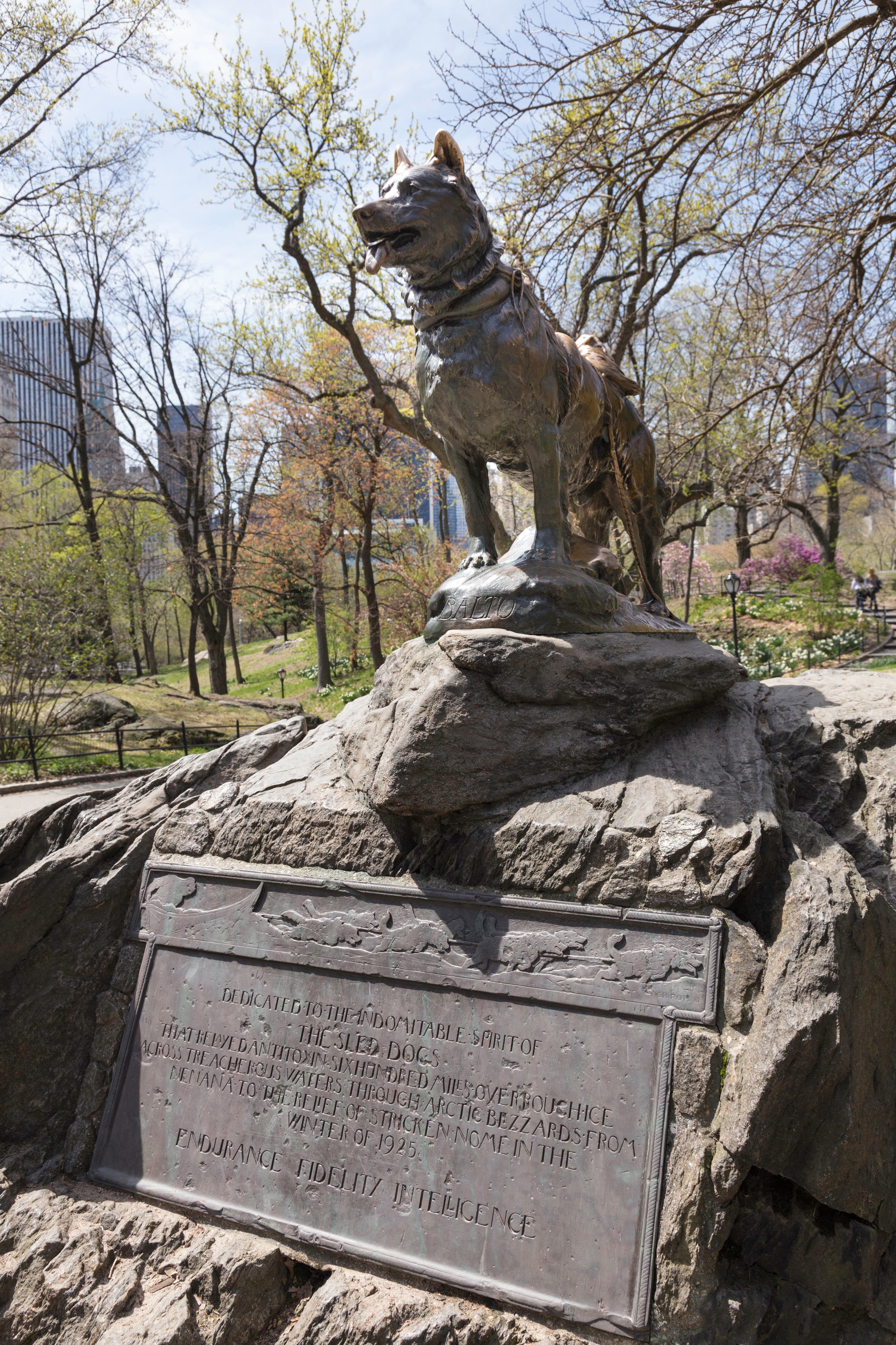 Statue made in honor of the real dog Balto, standing in a park.