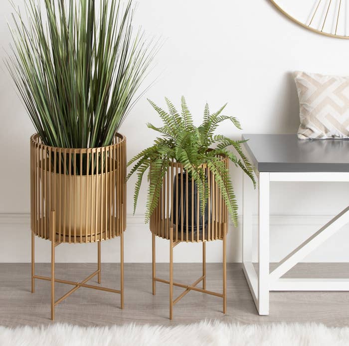 The plant stand set in gold