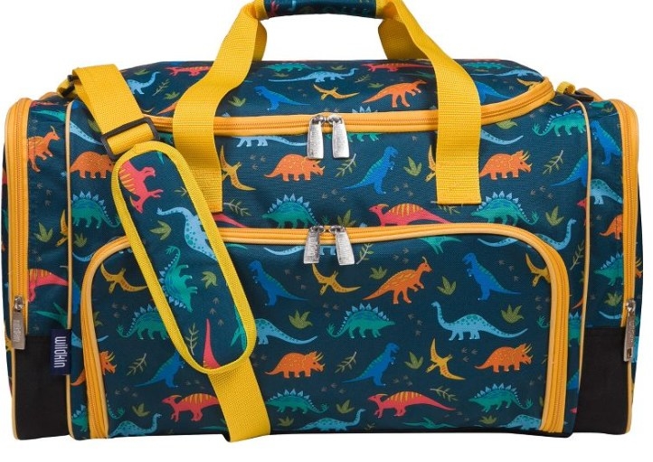 Everyone benefits from an organized travel bag