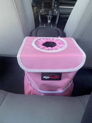 Reviewer's representation of pinkish car trash tin successful mediate of backseat