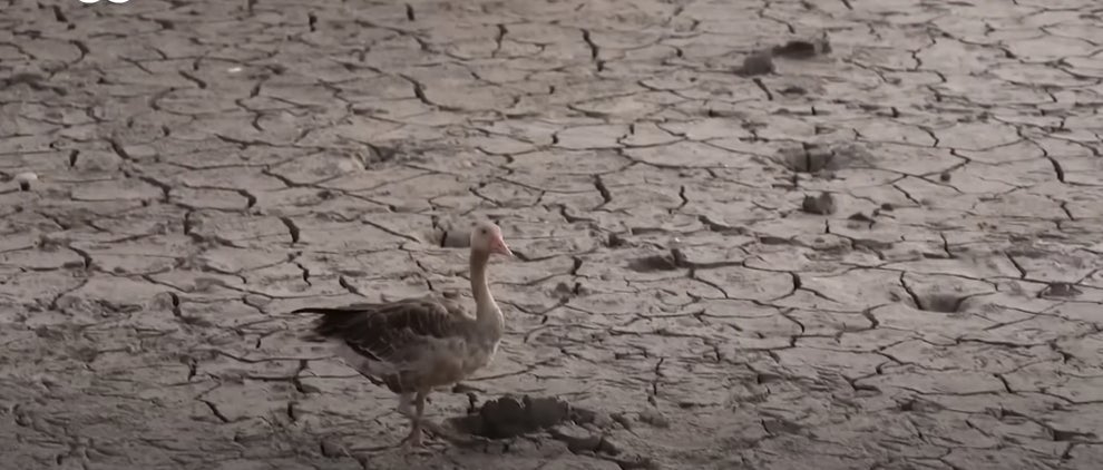 21 Horrifying Photos Of The Environment