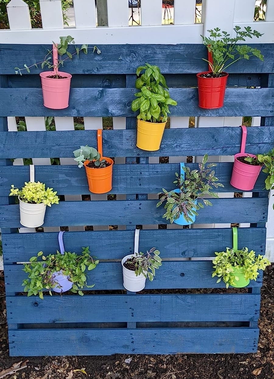 a reviewer photo of the rainbow pots filled with different herbs hung on a blue pallet