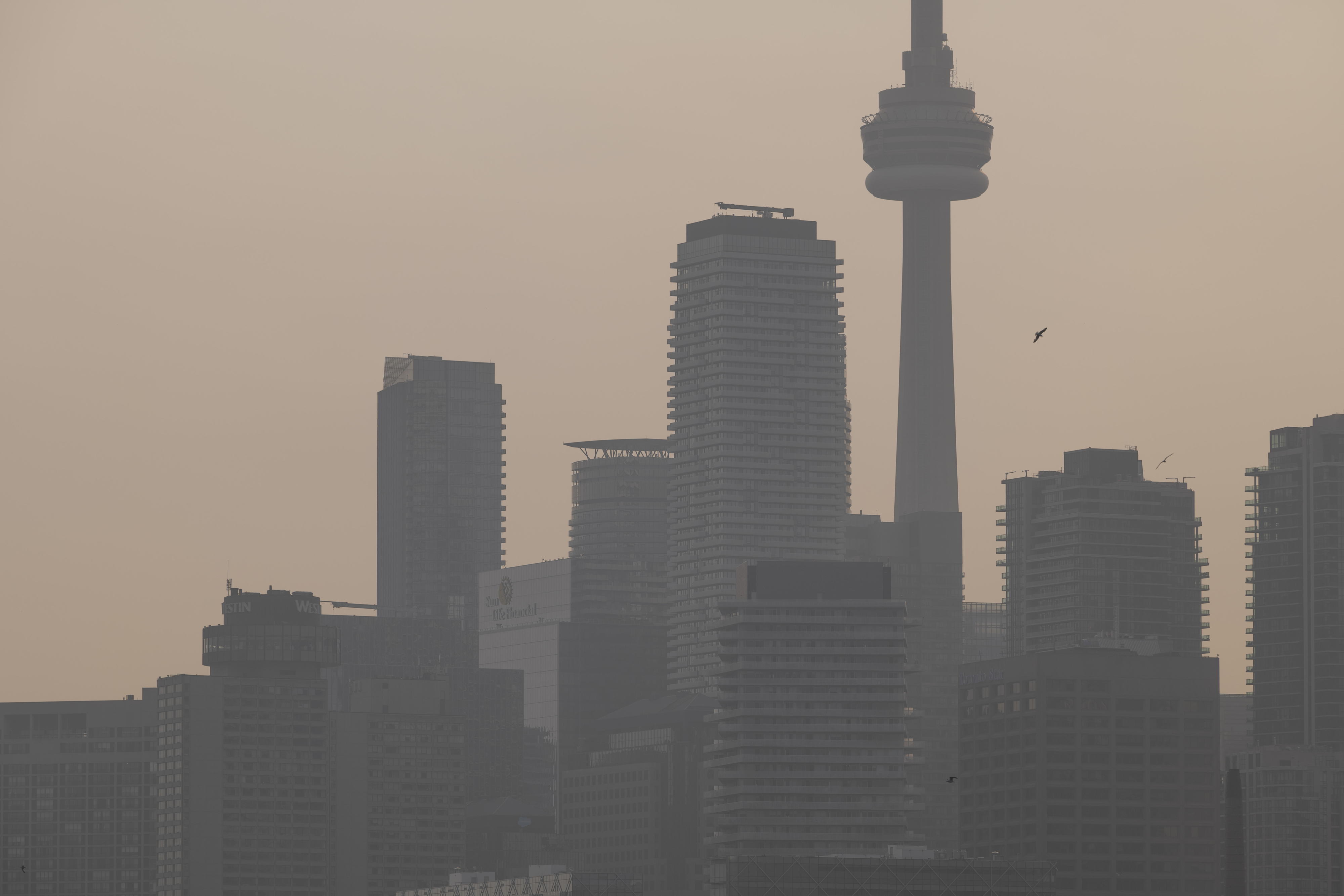 Thin layers of smoke covers Toronto