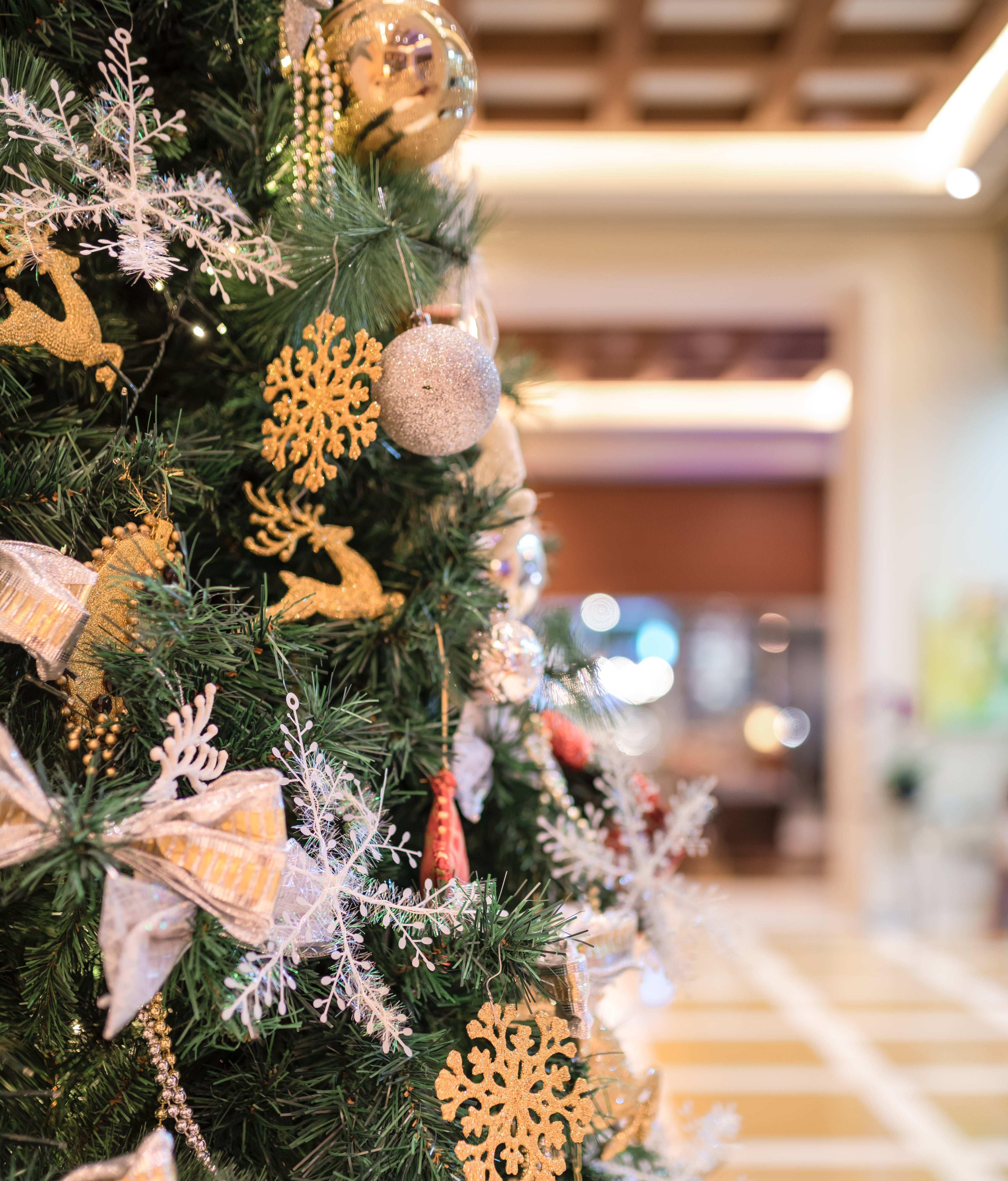 Decorated Christmas tree in a lobby