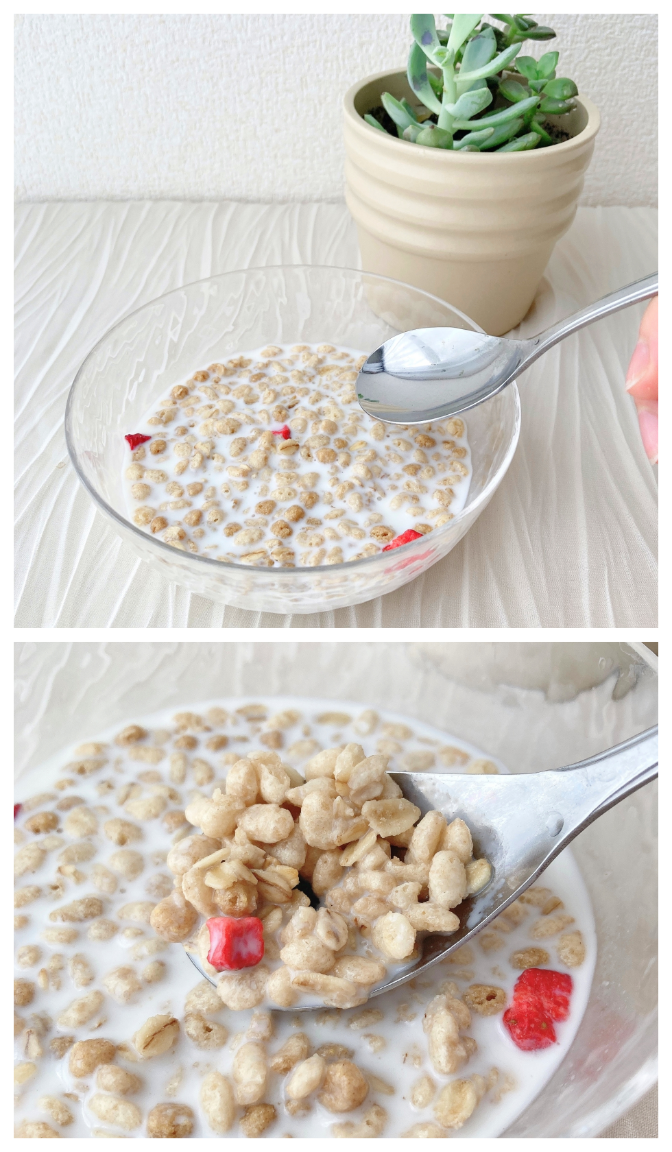 SEIYU（西友）のオススメのヘルシーフード「フルーツグラノーラ 380g」