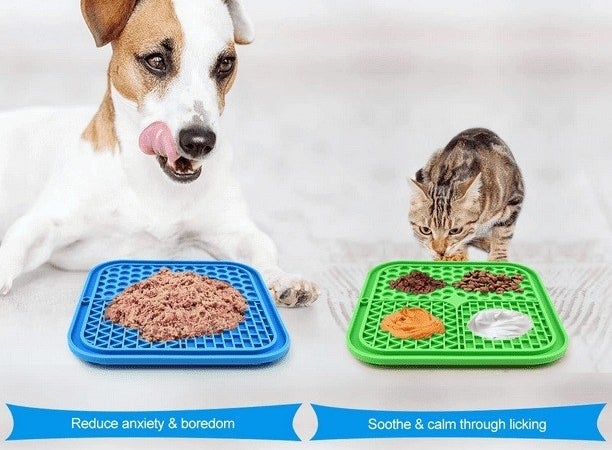 Dog and cat eating on mats