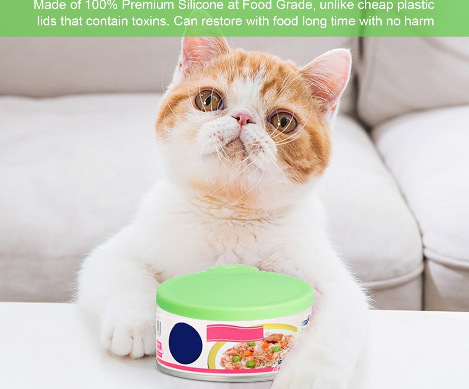 A cat with canned food