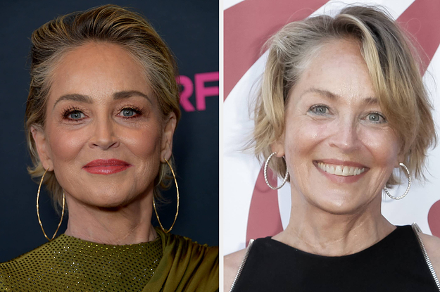 Sharon Stone Says She Stopped Getting Roles For 20 Years After Having A Stroke
