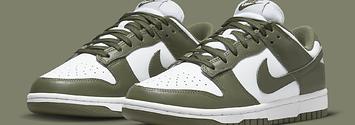 Nike Dunk Low Medium Olive (W) - DD1503-120 Raffles and Release Date