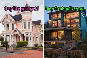 On the left, a Victorian-style house labeled they like you back, and on the right, a modern house with steps leading up to it and floor-to-ceiling windows labeled they don't notice you
