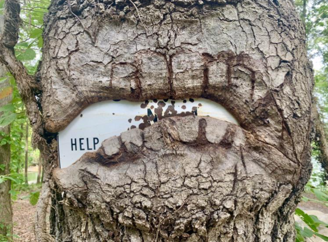 a tree that is engulfing a sign, with only the word &quot;help&quot; visible