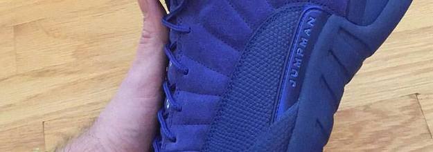 All Blue Air Jordan 12s Release in November Complex