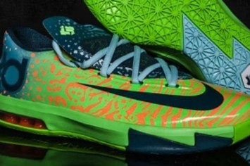 Liger kd outlet 6