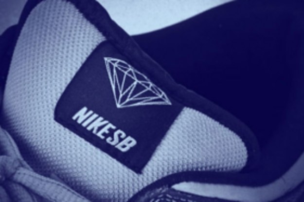 brown nike sbs