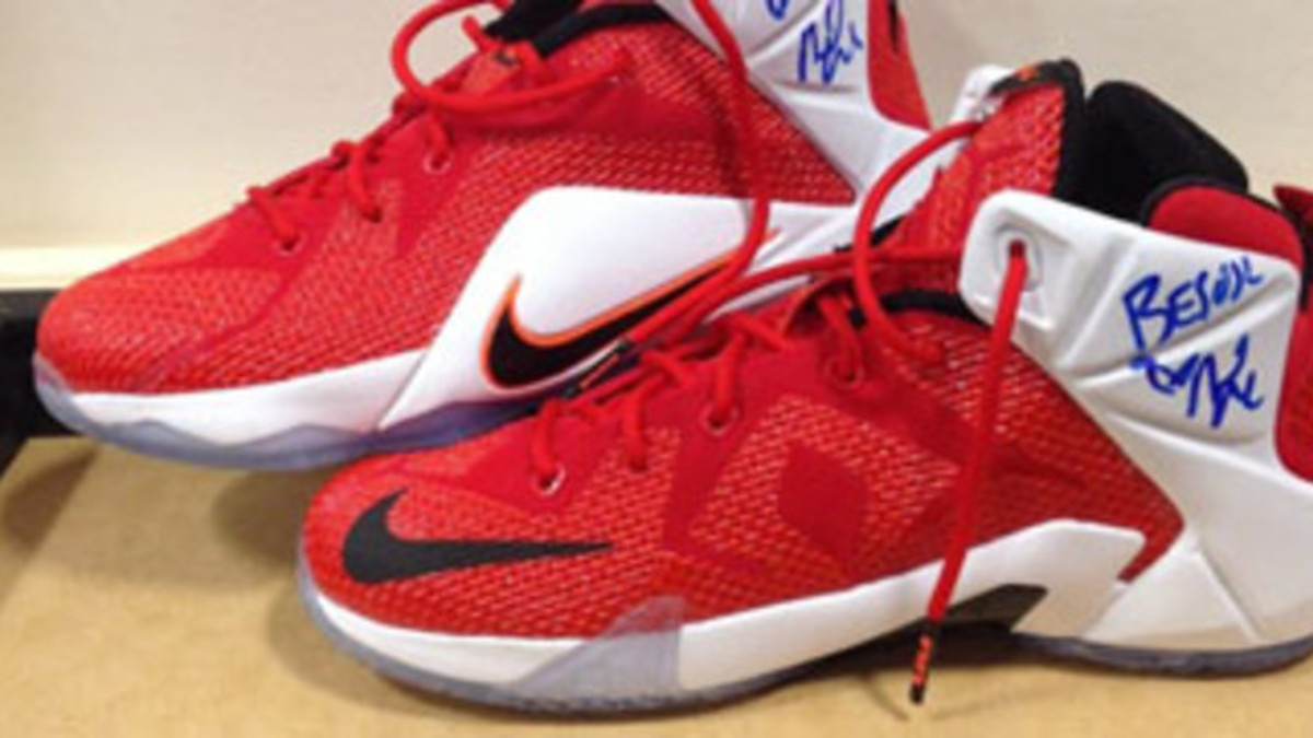You Can Look (and Possibly Touch) Nikki Bella's LeBron 12s