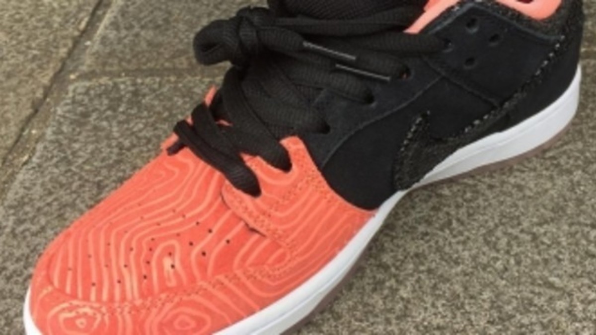 Nike best sale sb salmon