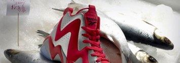 reebok kamikaze fish market