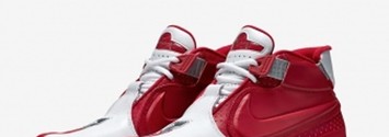 Nike Air Zoom Vick 2 Falcons Away Men's - 599446-005 - US