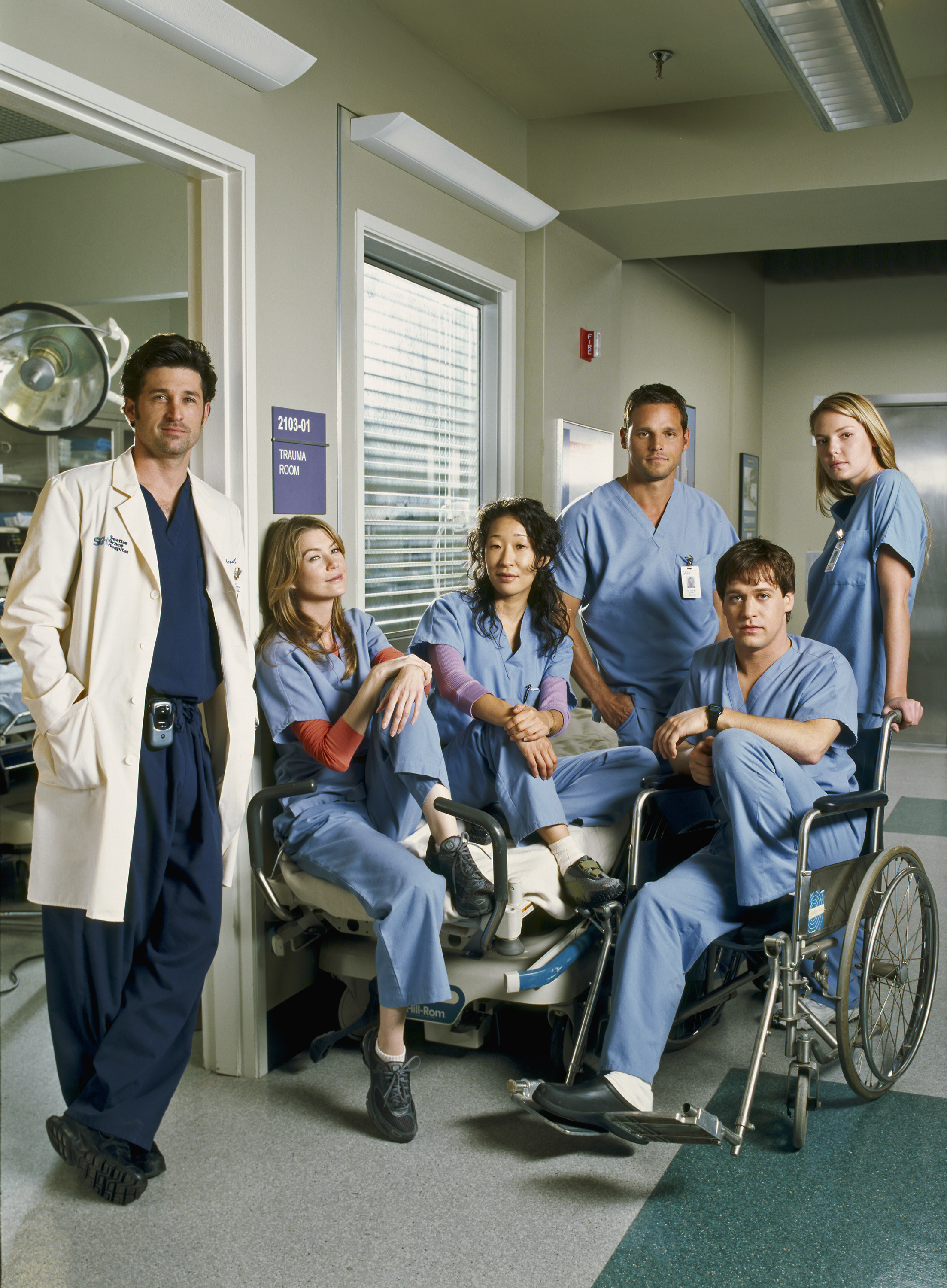 From left to right: Dr. Shepherd, Meredith, Christina Yang played by Sandra Oh, Alex Karev played by Justin Chambers, George O&#x27;Malley played by T.R. Knight, and Izzie Stevens played by Katherine Heigl