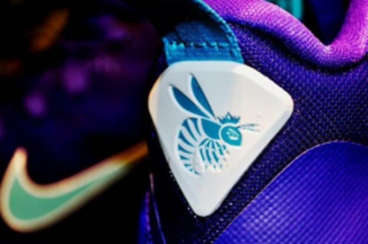 lebron hornets teal and purple