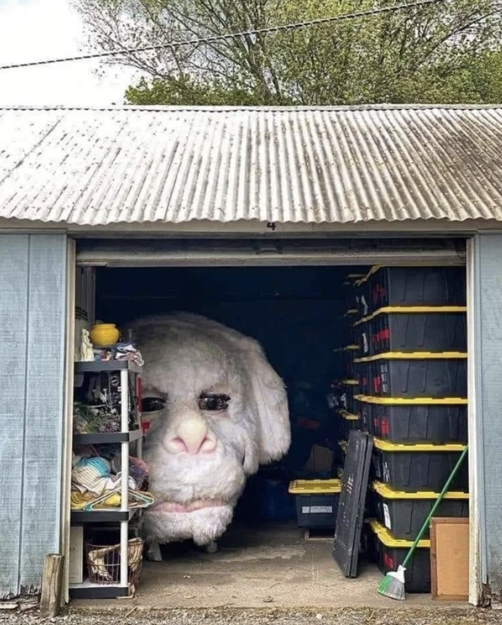 A replica of Falkor in someone's garage