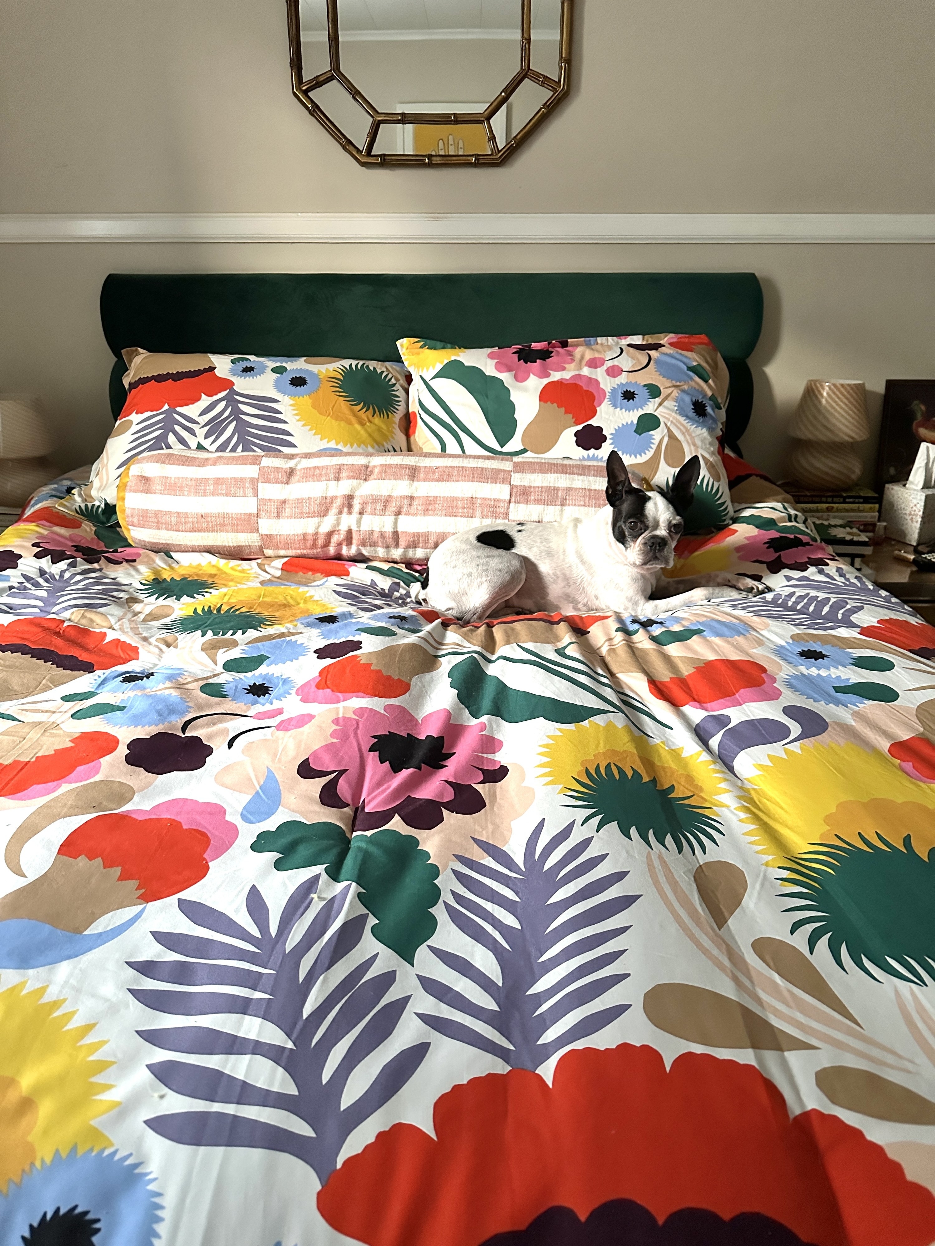 the colorful bedding set on a bed with a dog laying on top