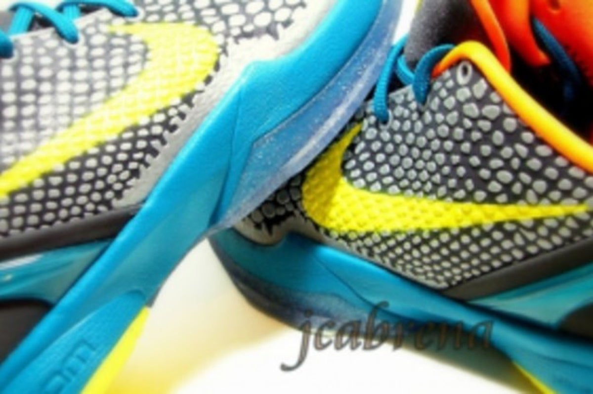 kobes blue and yellow